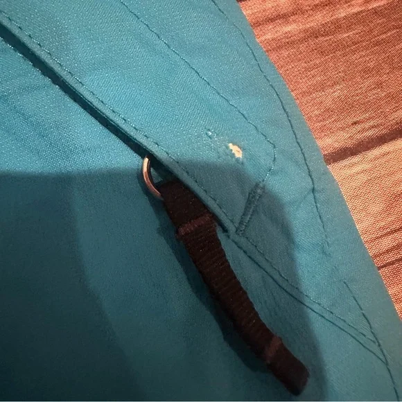 North face blue snow pants